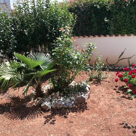 Ferienhaus Bozena Appartment 2 Vrsar Kültér fotó